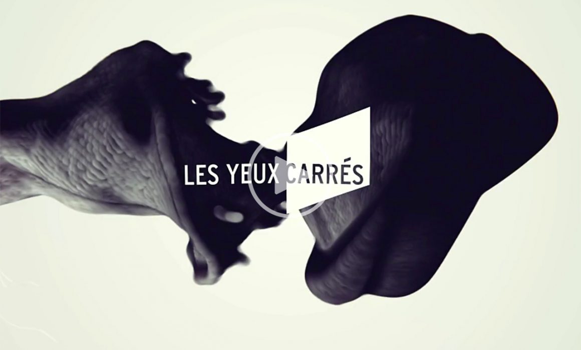 showreel-Les Yeux Carrés